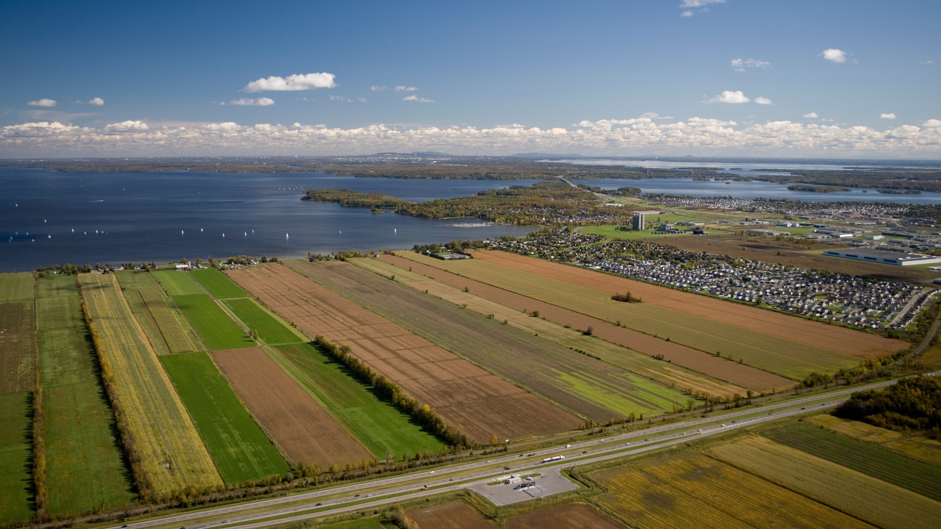 Terres agricoles