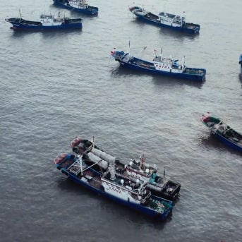 Des chaluts de pêche chinois