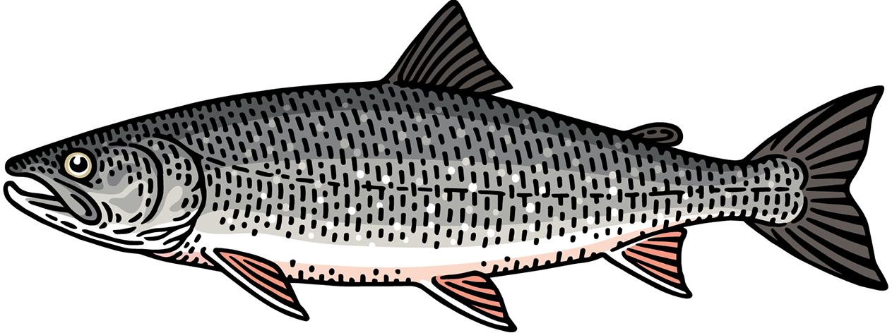 Un petit poisson
